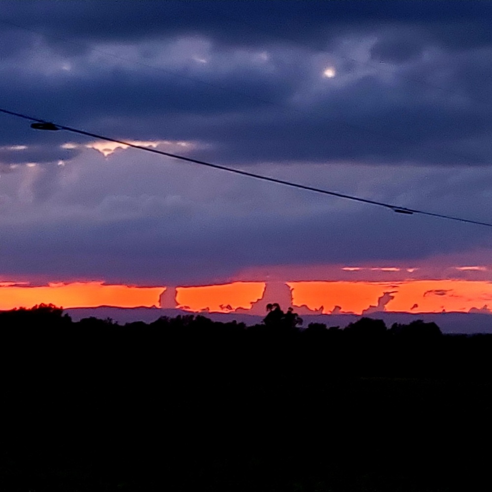 Meet your Posher, Barb